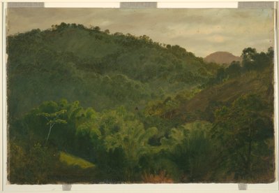 Piirros, Maisema Jamaikalta, Länsi-Intia, 1865 tekijältä Frederic Edwin Church