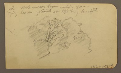 Piirros, maisema, taloja; Kääntöpuoli: puun latva, helmikuu 1885. tekijältä Frederic Edwin Church