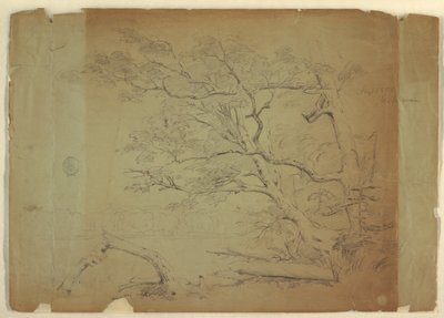 Piirros, Maisema, jossa on puita ja puro [], Grand Mananin saari, Kanada, syyskuu 1851. tekijältä Frederic Edwin Church