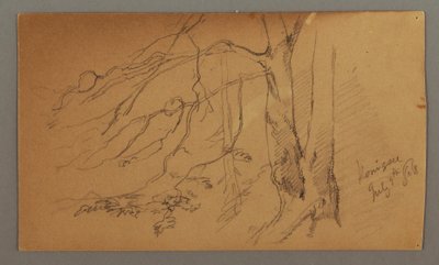 Piirros, puun alaosa, 9. heinäkuuta 1868. tekijältä Frederic Edwin Church