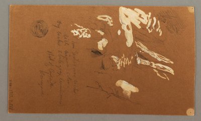 Piirros, puun alaosa, 9. heinäkuuta 1868. tekijältä Frederic Edwin Church