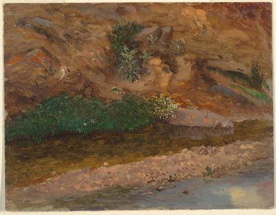 Piirros, Puron reuna, 1860-70 tekijältä Frederic Edwin Church
