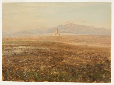 Piirros, meksikolainen maisema, huhtikuu 1869 tekijältä Frederic Edwin Church
