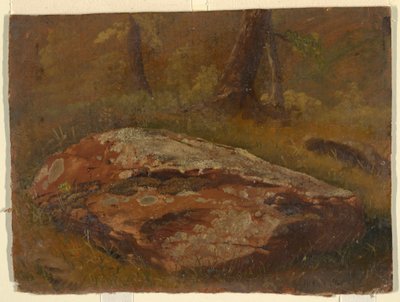 Piirros, Mossy Rock, elokuu 1845 tekijältä Frederic Edwin Church