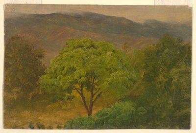 Piirros, vuoristomaisema, elokuu 1865 tekijältä Frederic Edwin Church