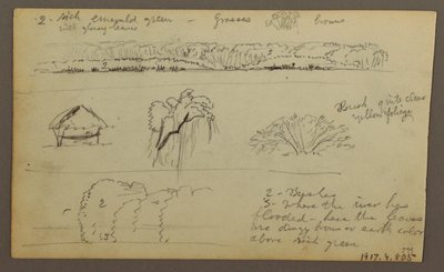 Piirros, Vuoristoalueet "Guayaquiliin tultaessa"; Kääntöpuoli: Jokiranta, kasvitieteellisiä luonnoksia, mahdollisesti 1857. tekijältä Frederic Edwin Church