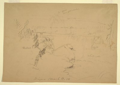Piirros, Niagaran putoukset, näkymä Goat Islandilta, 19. maaliskuuta 1856. tekijältä Frederic Edwin Church