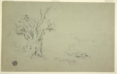 Piirros, Oliivipuu, Öljymäki, huhtikuu 1868 tekijältä Frederic Edwin Church