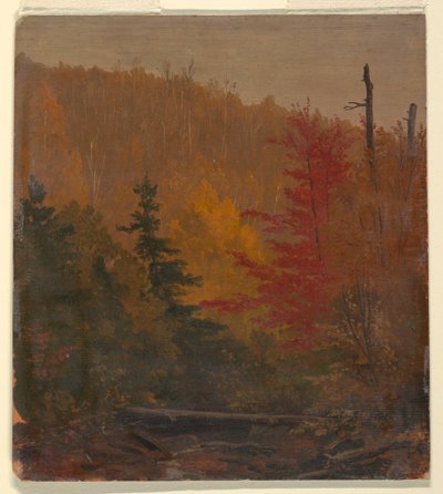 Piirros, luultavasti Katahdinin lähellä, syksy 1865-70. tekijältä Frederic Edwin Church