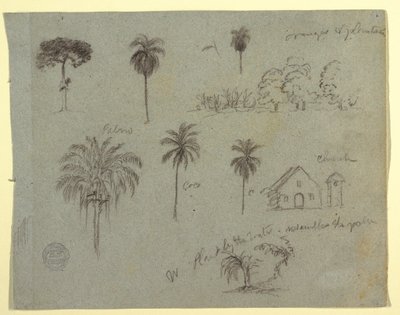 Piirustus, Luonnoksia Rio Magdalene -joelta, Kolumbia:  Kasvitieteellisiä tutkimuksia ja kirkko, toukokuu 1853. tekijältä Frederic Edwin Church