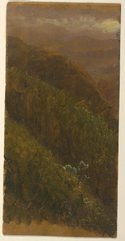 Piirros, jyrkkä rinne, heinäkuu 1865 tekijältä Frederic Edwin Church