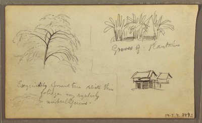 Piirros, kadunkulma Guaquilissa, Ecuadorissa; Kääntöpuoli: Kasvitieteellisiä luonnoksia, talo, Ecuador tai Kolumbia, 1857. tekijältä Frederic Edwin Church