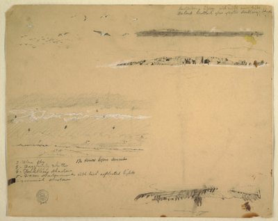 Piirros, Lokkien, kalliorannikon ja pilvisen taivaan tutkimuksia, Great Manan, Kanada, syyskuu 1851. tekijältä Frederic Edwin Church