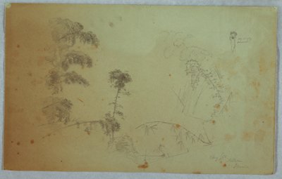 Piirros, puiden tutkimuksia, joissa on yksityiskohtia bambusta ja pieni yksityiskohta miehestä, joka kantaa banaania päässään, Bellevue, Jamaika, elokuu 1865. tekijältä Frederic Edwin Church