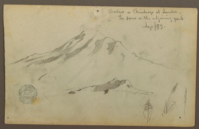 Piirros, Auringonnousu Chimborazo-vuorella ja kolme yksityiskohtaa ruohosta, syyskuu 1853. tekijältä Frederic Edwin Church