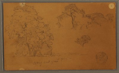 Piirros, puut, 1857 tekijältä Frederic Edwin Church