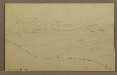 Piirros, Puut, mahdollisesti 1860-luku tekijältä Frederic Edwin Church