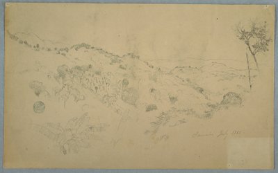 Piirros, Metsäinen laakso, jossa on suuri saniainen ja kaukaisia vuoristoja, Jamaika, heinäkuu 1865. tekijältä Frederic Edwin Church