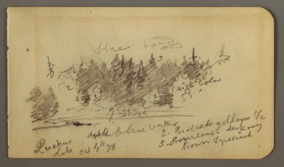 Piirros, Metsäinen ranta, 1878 tekijältä Frederic Edwin Church