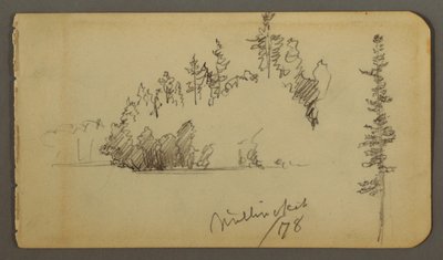 Piirros, Metsäinen ranta, puustotutkimus, 1878 tekijältä Frederic Edwin Church