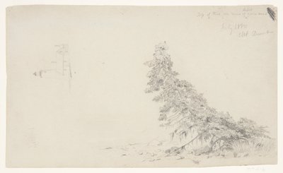 Ikivihreä puu lähellä rantaa, jossa on yksityiskohta majakasta ja talosta, Mount Desert, Maine tekijältä Frederic Edwin Church