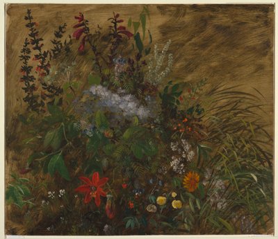 Kukkia Jamaikalla tekijältä Frederic Edwin Church