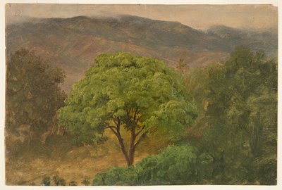 Genip Tree in the Mountains, Jamaika tekijältä Frederic Edwin Church
