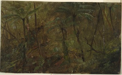 Metsässä, Jamaikalla tekijältä Frederic Edwin Church