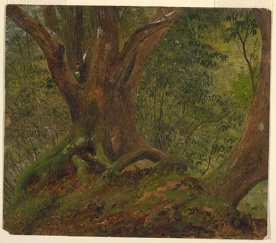 Metsässä, Jamaikalla tekijältä Frederic Edwin Church