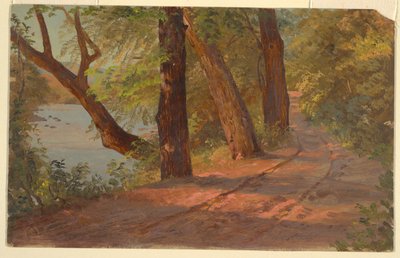 Maisema Pohjois-Amerikasta (tie järven rannalla) tekijältä Frederic Edwin Church