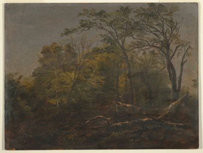 Maine Woods tekijältä Frederic Edwin Church