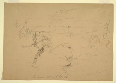 Niagaran putoukset, Näkymä Goat Islandilta tekijältä Frederic Edwin Church