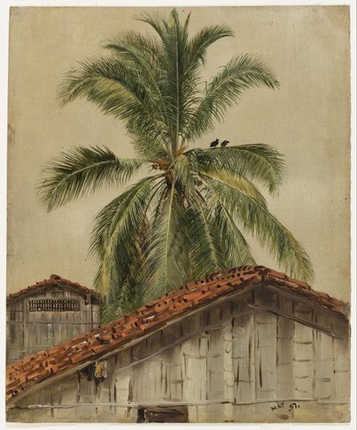 Palmuja ja talojen kattoja, Ecuador tekijältä Frederic Edwin Church