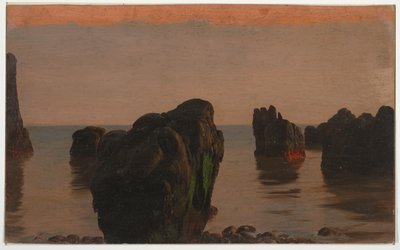 Kiviä ja sammalta Grand Mananista tekijältä Frederic Edwin Church