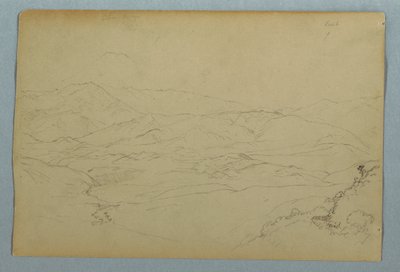 Luonnokset kasveista ja osasta terassia reunustavasta kaiteesta Inn Guarandassa, Ecuadorissa tekijältä Frederic Edwin Church