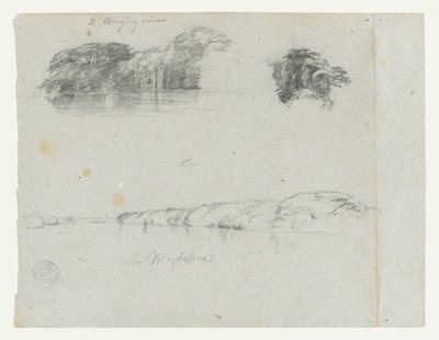 Luonnoksia puista, viiniköynnöksistä ja Rio Magdalenan rannasta, Kolumbia. tekijältä Frederic Edwin Church