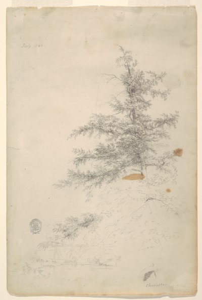 Puu, virta tekijältä Frederic Edwin Church