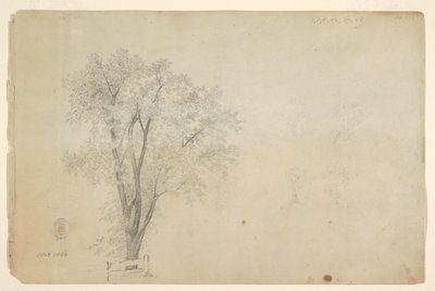 puut tekijältä Frederic Edwin Church