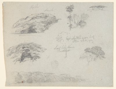 Puut, latvat ja metsäinen pankki, Saddleback, Maine tekijältä Frederic Edwin Church