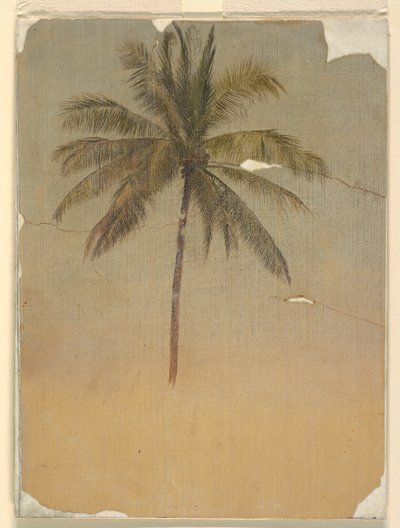 Palmun runko ja latva tekijältä Frederic Edwin Church