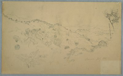 Metsäinen laakso, jossa on suuri saniainen ja kaukaiset vuoristot, Jamaika tekijältä Frederic Edwin Church