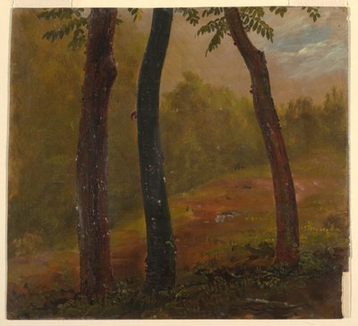 Woodland Scene, Jamaika tekijältä Frederic Edwin Church