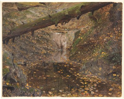 Woodland Stream, mahdollisesti Mt. Desert, Maine tekijältä Frederic Edwin Church