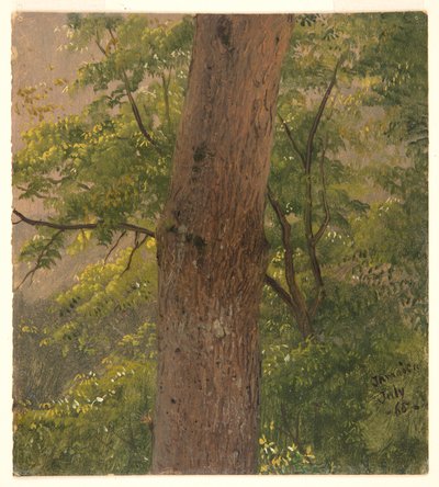 Woodland Study, Jamaika tekijältä Frederic Edwin Church
