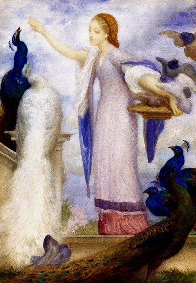 "Jene fille nourrissant les paons" Hän on pukeutunut antiikin tyyliin. Lord Frederic Leightonin (1830-1896) (prerafaeliitti) maalaus. tekijältä Frederic Leighton