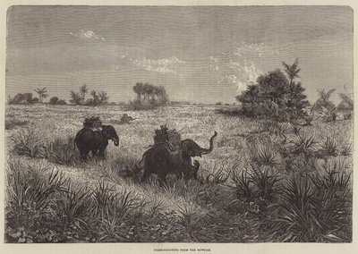 Intia ja Walesin prinssi, Tiger-ammunta Howdasta tekijältä Frederic Theodore Lix
