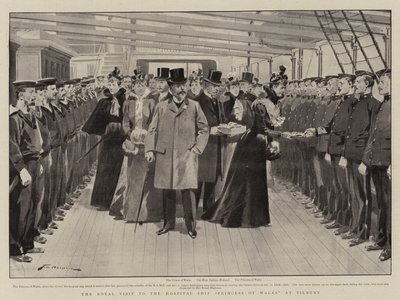 Kuninkaallinen vierailu sairaalalaivassa Princess of Wales Tilburyssa tekijältä Frederic de Haenen
