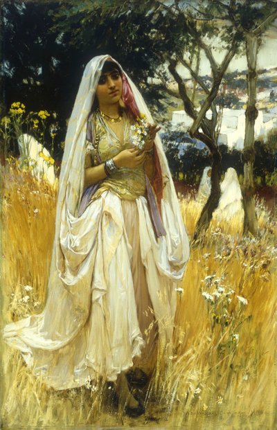 Nuori Maurengue, Alaer-kampanja tekijältä Frederick Arthur Bridgman