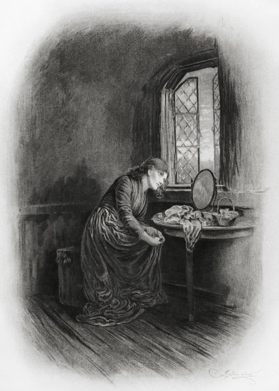 Kukat tekijältä Frederick Barnard