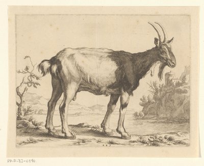 Vuohi Abraham Bloemaertin piirustuskirja (sarjan nimi) tekijältä Frederick Bloemaert